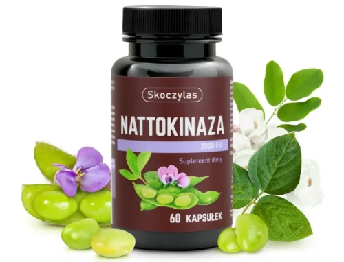 Nattokinaza 2000 FU z fermentowanej soi natto - naturalne wsparcie przepływu krwi, opakowanie 60 kapsułek