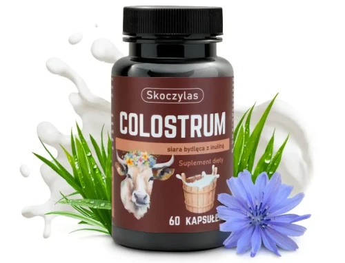 Colostrum wołowe z inuliną z korzenia cykorii - naturalne wsparcie immunoglobulin IgG dla dorosłych