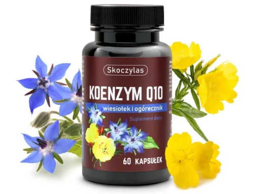 Skoczylas Koenzym Q10 – naturalne wsparcie energii komórkowej i kondycji skóry