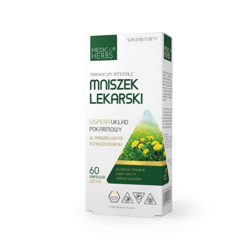 Mniszek-lekarski-przód-1.jpg