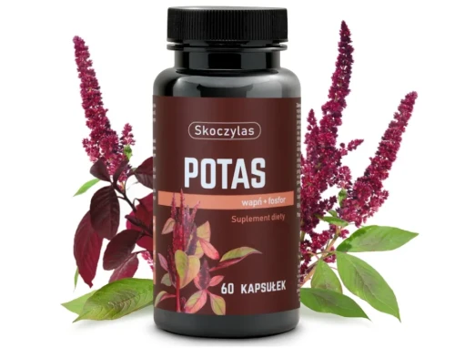 Skoczylas Potas Wapń Fosfor – naturalne wsparcie mięśni, kości i układu nerwowego