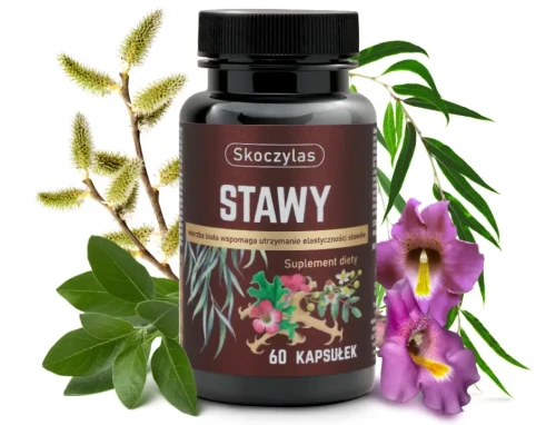 Opakowanie suplementu diety Skoczylas STAWY 60 kapsułek z ekstraktami kadzidłowca, wierzby, ashwagandhy i hakorośli, otoczone gałązkami wierzby i kwiatami hakorośli.