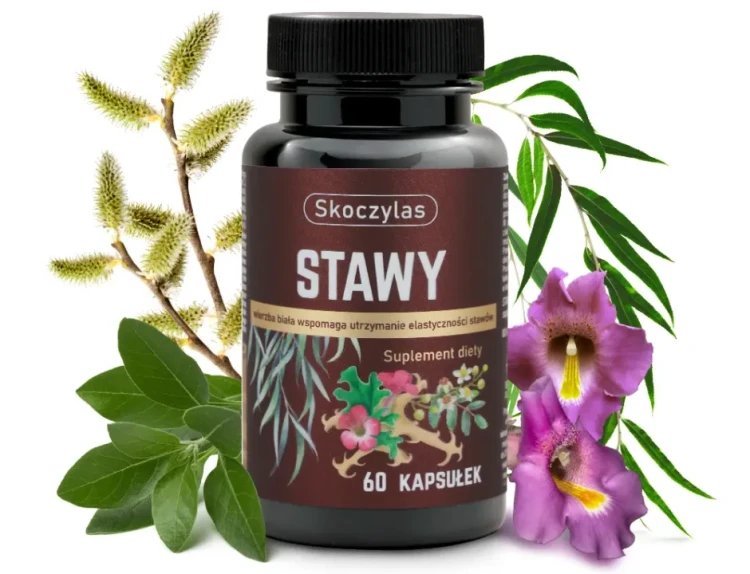Opakowanie suplementu diety Skoczylas STAWY 60 kapsułek z ekstraktami kadzidłowca, wierzby, ashwagandhy i hakorośli, otoczone gałązkami wierzby i kwiatami hakorośli.