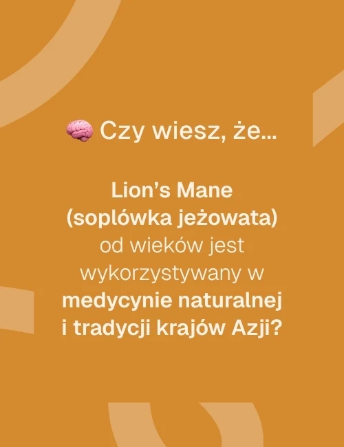 Grafika informacyjna o Lion's Mane Biowen – zastosowanie Soplówki Jeżowatej w medycynie naturalnej Azji
