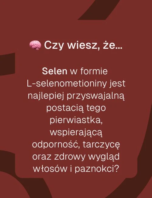 Grafika informacyjna o Selenie Organiczny Biowen – przyswajalność L-selenometioniny, wsparcie tarczycy i odporności