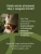 Infografika Biowen Kiedy warto stosować Olej z oregano Forte