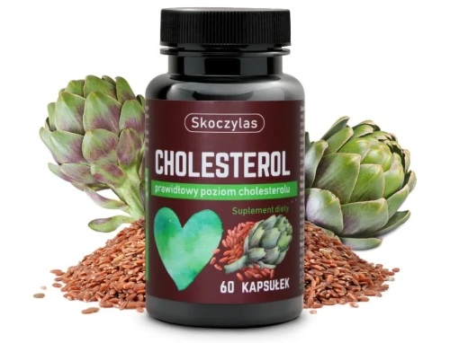 Naturalne składniki na cholesterol – fermentowany czerwony ryż, karczoch, kozieradka