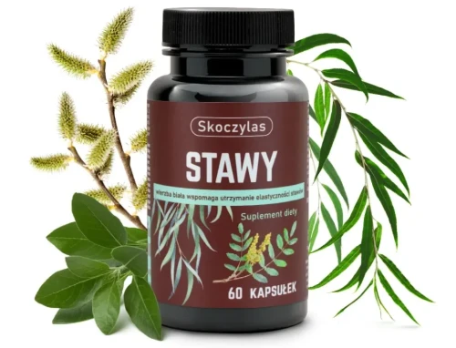 Skoczylas STAWY  kadzidłowiec, wierzba, ashwagandha, sosna - 60 kapsułek wspiera elastyczność stawów