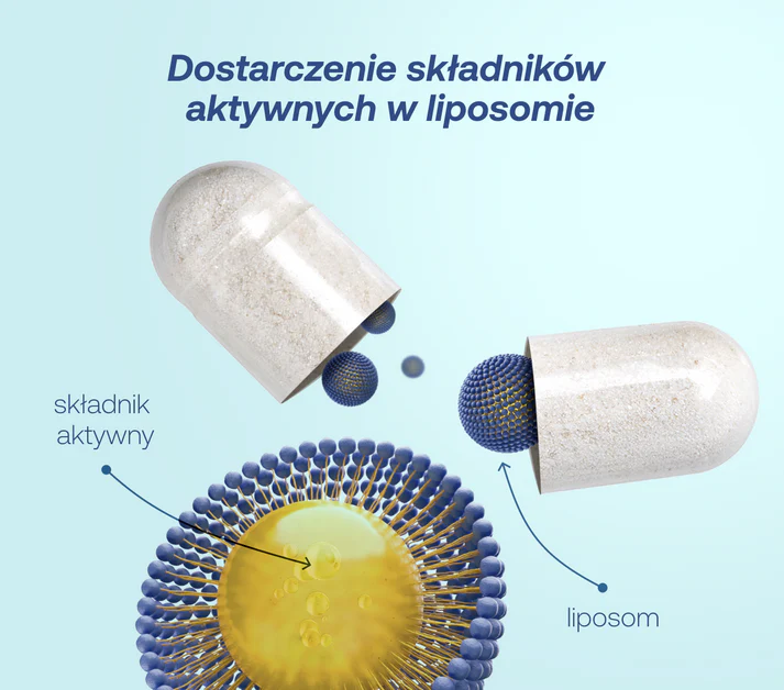 LPliposomy